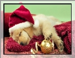 Bombka, Pies, Miko�aj, Labrador Retriever